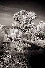 White River View 2